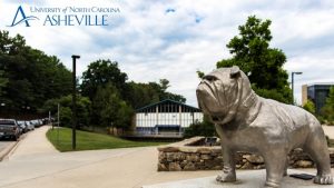 Zoom background Rocky the Bulldog statue at UNC Asheville